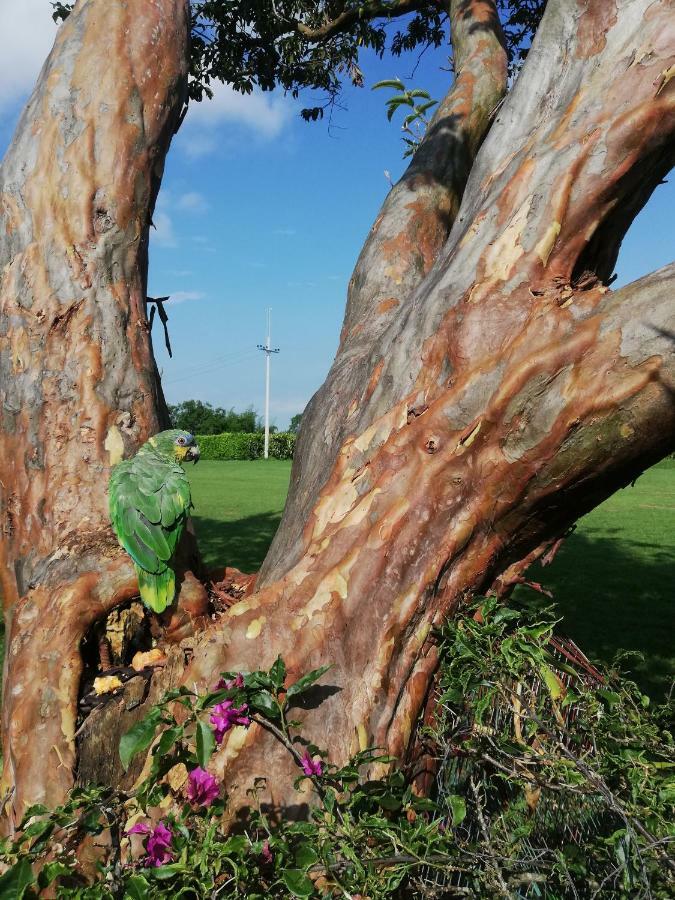 Calarcá Villa Alejandra Del Quindio المظهر الخارجي الصورة